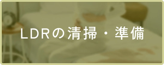 LDRの清掃・準備