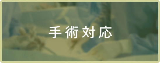 手術対応